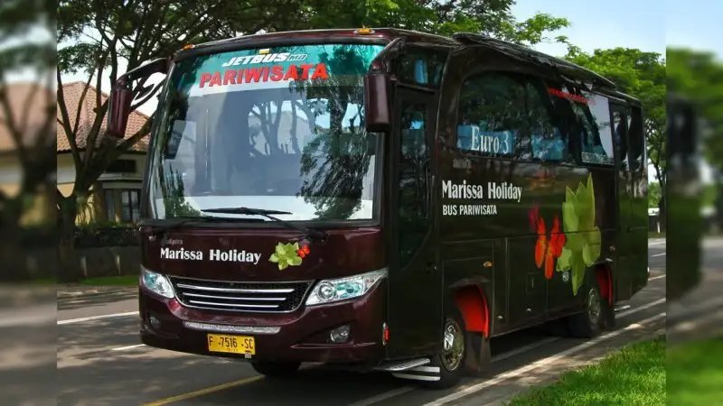 Medium Bus