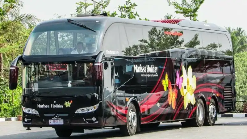 Big Bus Pariwisata